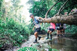 BIB: 
                            <button type="button" onclick="openModal(25463375)" class="btn btn-primary btn-sm float-right btn-popup" data-toggle="modal" data-target=".modal-high-quality">
                        <i class="fas fa-shopping-cart"></i> Add to Cart
                    </button>
                                            <button type="button" onclick="isThisMe(25463375, true)" class="btn btn-success btn-sm float-right btn-popup btn-isme hidden" data-toggle="tooltip" data-placement="bottom" title="นี่คือรูปของคุณใช่ไหม คลิกที่นี่เพื่อเอาเข้าอัลบั้ม">
                        <i class="fas fa-plus"></i> Add to album
                    </button>
                    <button type="button" onclick="isThisMe(25463375, false)" class="btn btn-warning btn-sm float-right btn-popup btn-isnotme hidden">
                        <i class="fas fa-ban"></i> Remove from album
                    </button>